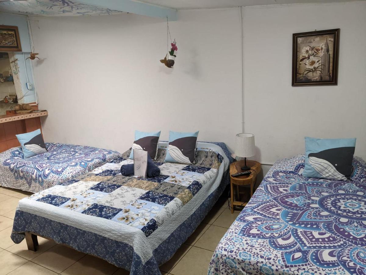 Guesthouse Casa Lapa2 Alajuela Exteriér fotografie